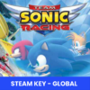 टीम सोनिक रेसिंग - स्टीम - कुंजी ग्लोबल